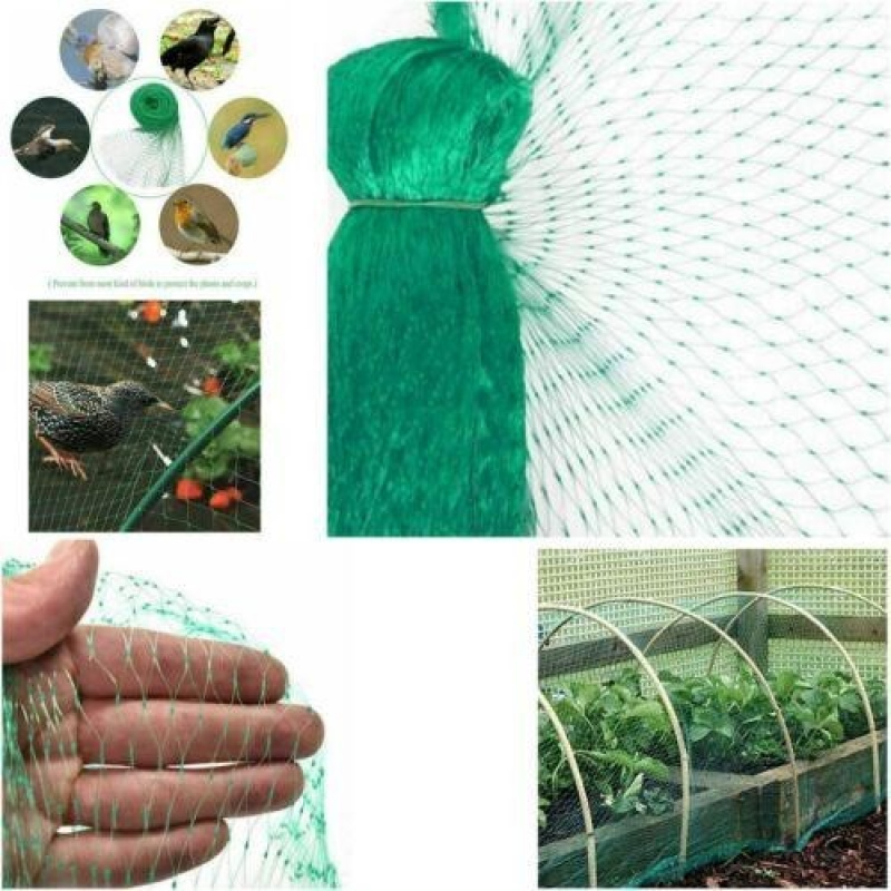 Bird Net 4m x 10m - Image 2