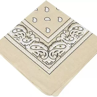 Beige Paisley Bandana