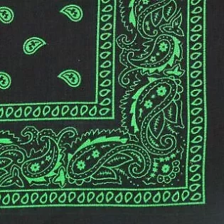 Black Green Paisley Bandana