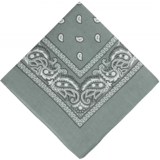 Grey Paisley Bandana