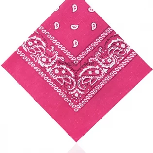 Pink Paisley Bandana