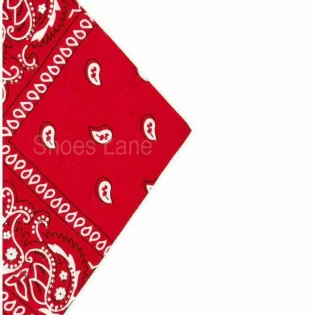 Red Paisley Bandana