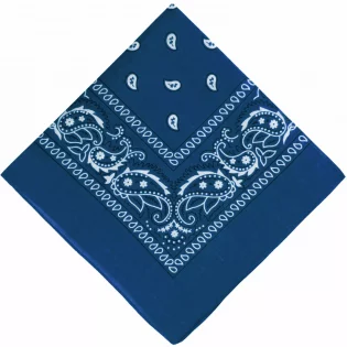 Steel Blue Paisley Bandana