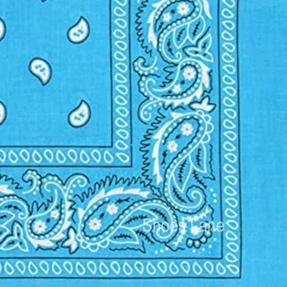 Turquoise Paisley Bandana